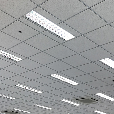 Suspended Ceiling Services